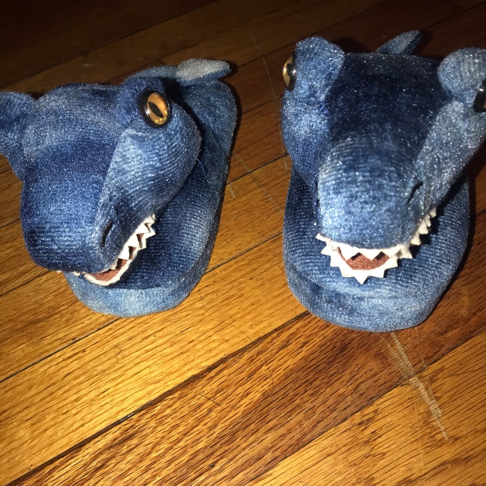 Blue dinosaur slippers 9c